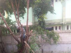 Lingkungan SDN 18 Aren Jaya Perumnas 3 Tidak Terurus